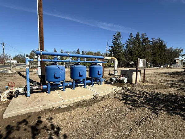 a view of a forest with a tree