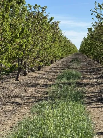 a view of a roof deck