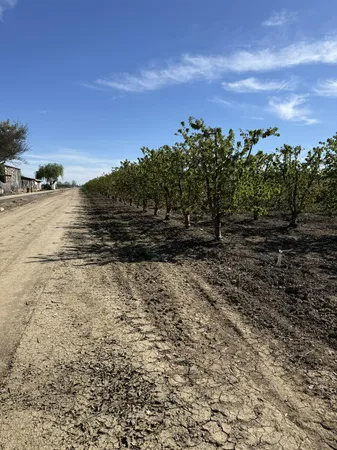 a close view of shoes and chairs