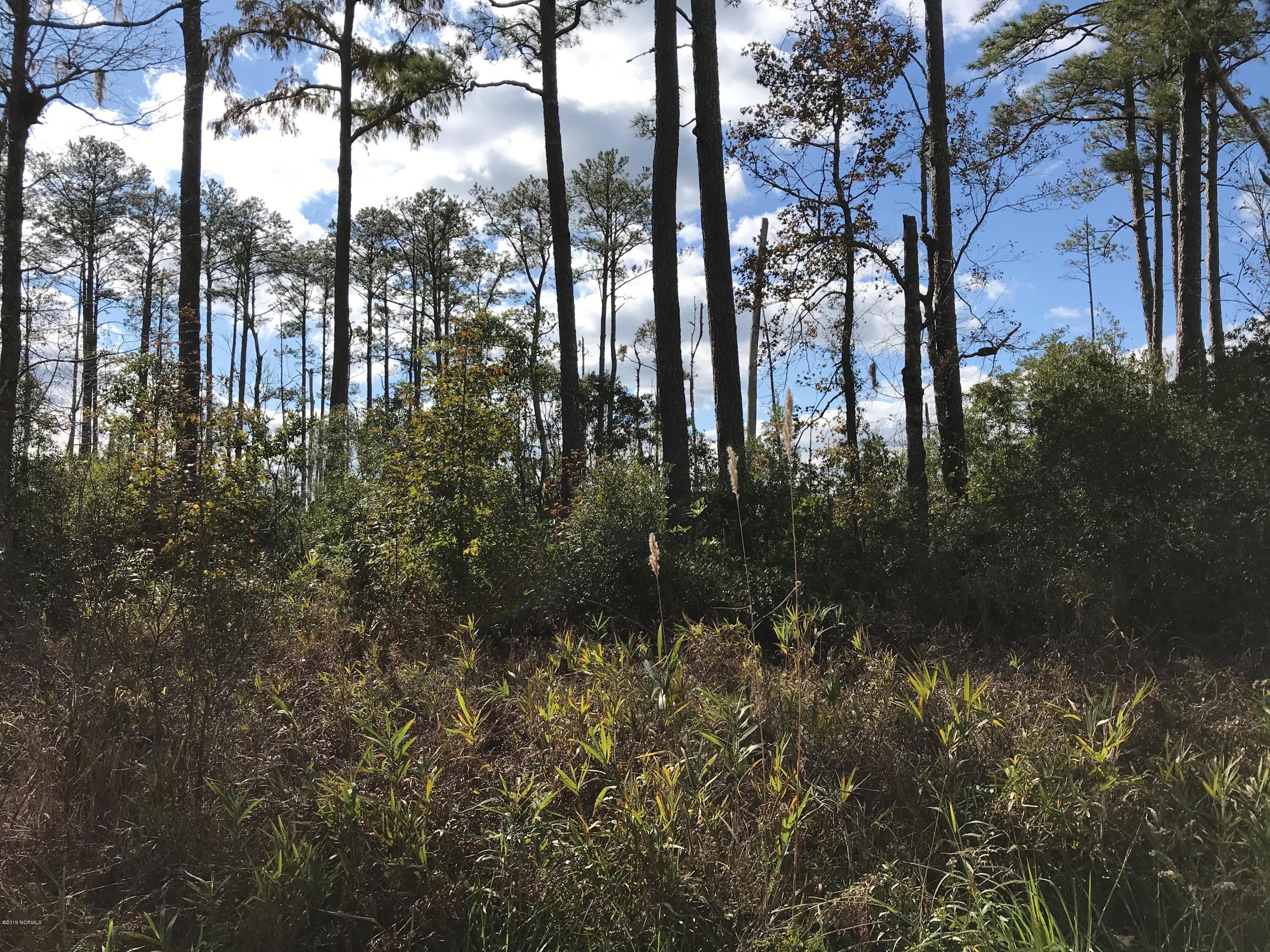 0 State Road Belhaven, NC 27810 - Photo 2 of 3 Lot 2