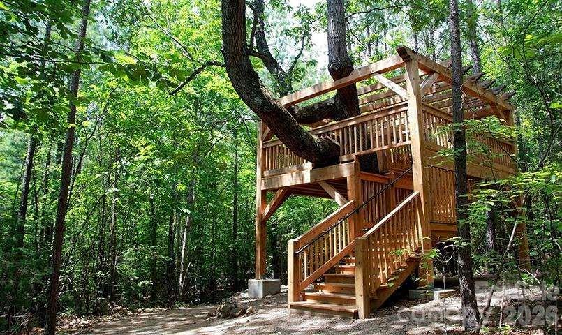 4843 Looking Glass Trail Denver, NC 28037 - Photo 48 of 48