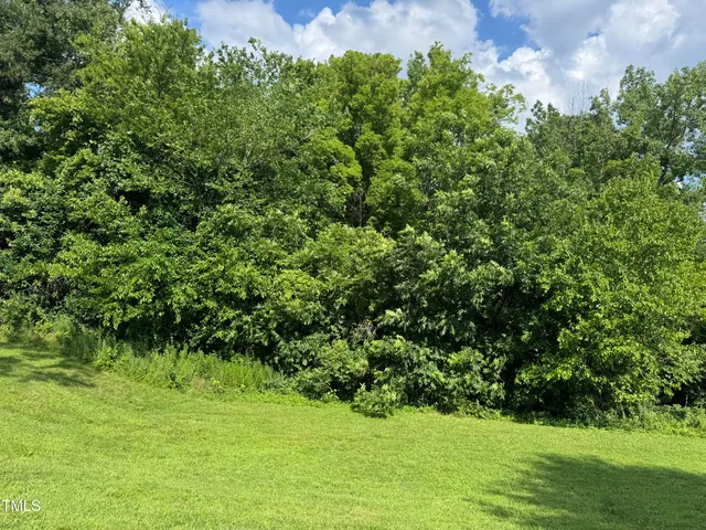a view of yard with green space