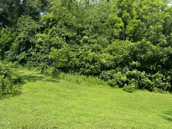 a view of a lush green space