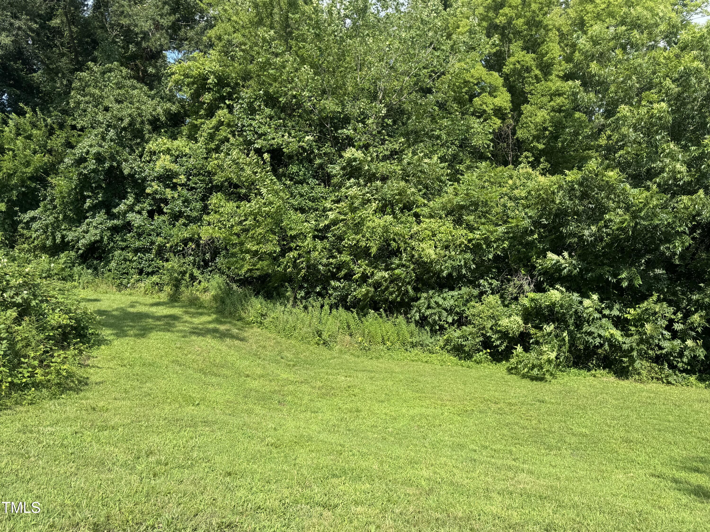 106 West Umstead Street Durham, NC 27707 - Photo 2 of 2 a view of a lush green space