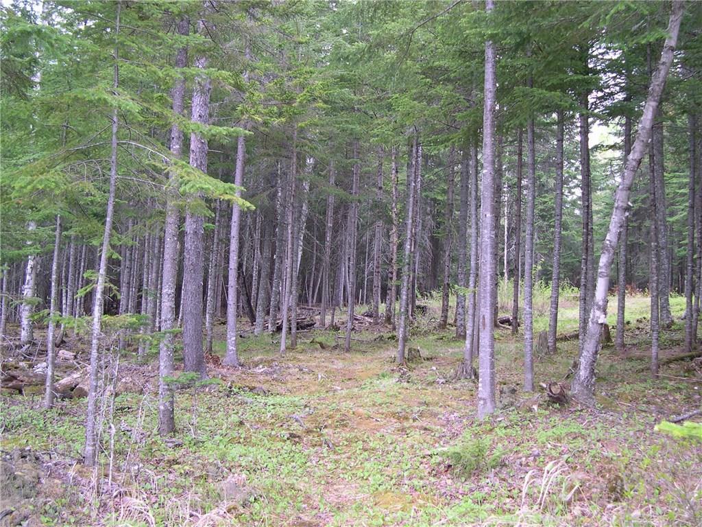 90 Hernborg Road Rangeley, ME 04970 - Photo 10 of 12 waterfront path