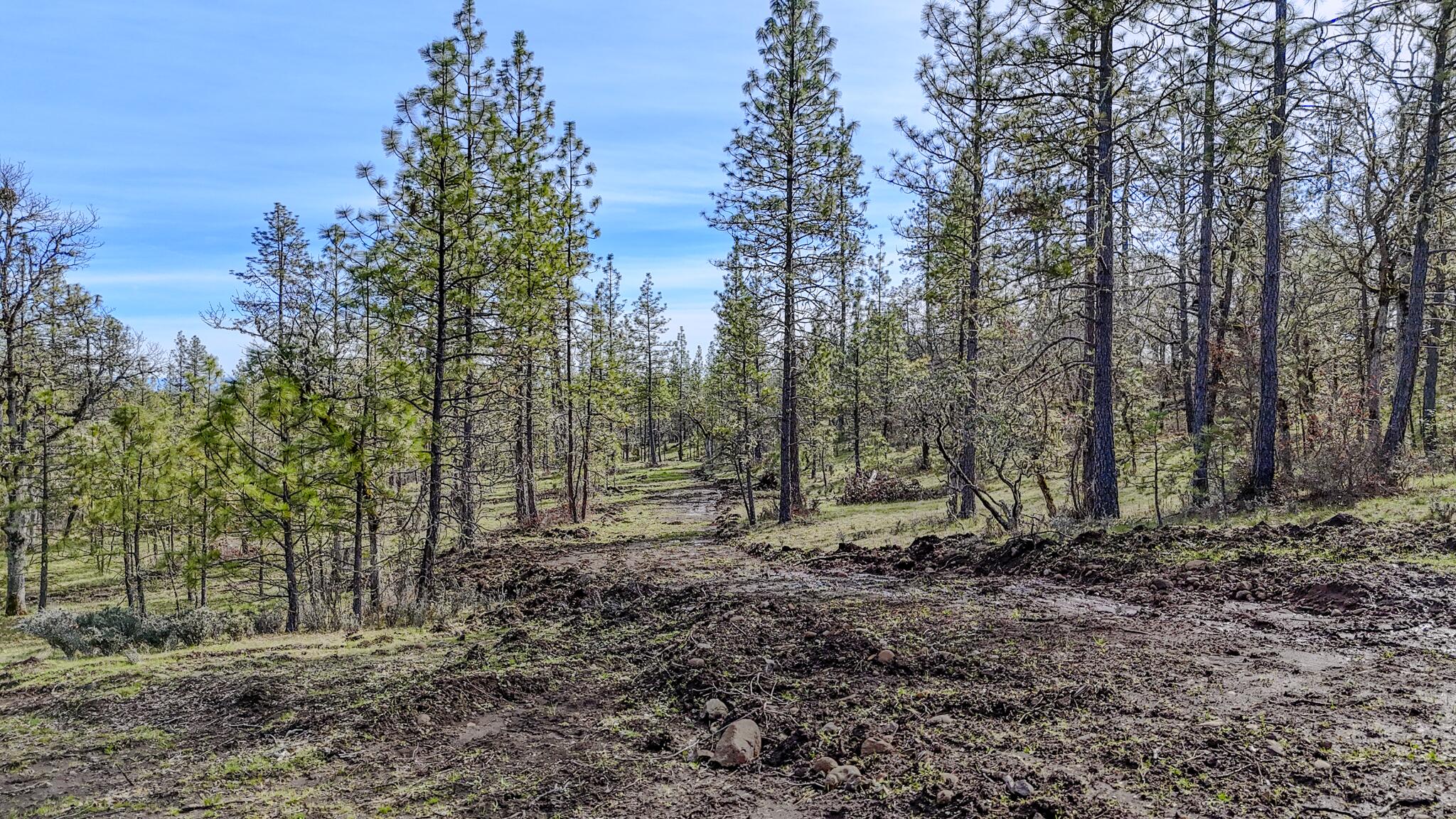 506 Greenleaf Drive Eagle Point, OR 97524 - Photo 31 of 38 DJI_20260227141425_0577_D-HDR