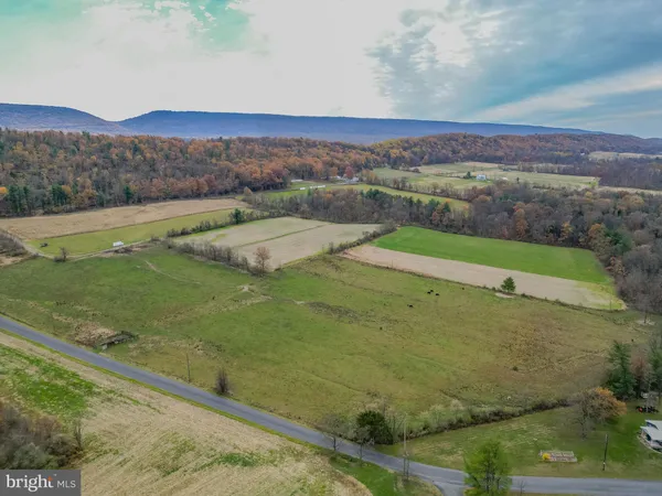 a view of a field with an ocean