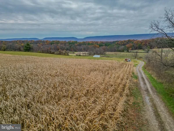 a view of a lake with a city