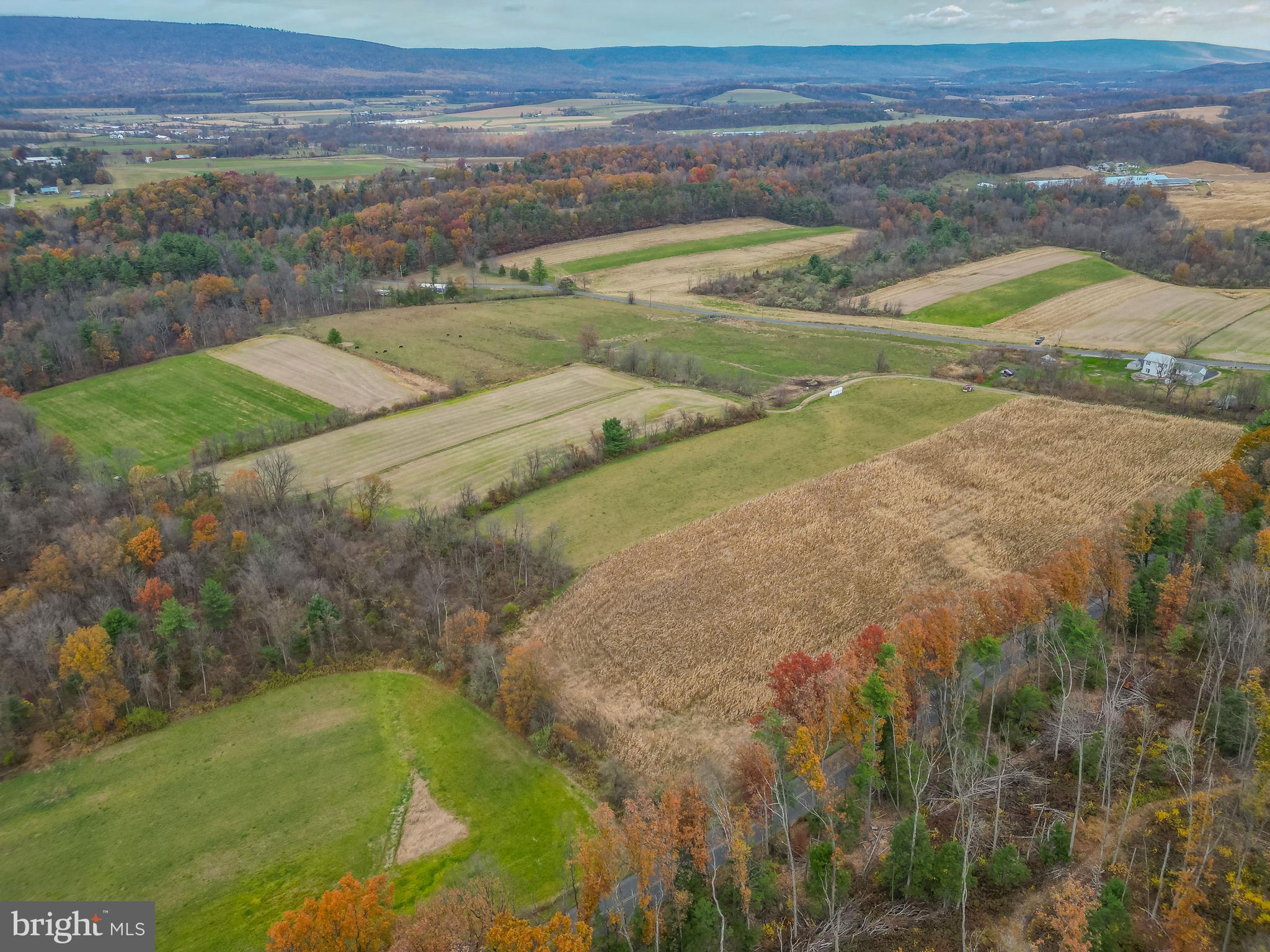 0 Ridge Road Beaver Springs, PA 17812 - Photo 4 of 12 Gallery Image 4
