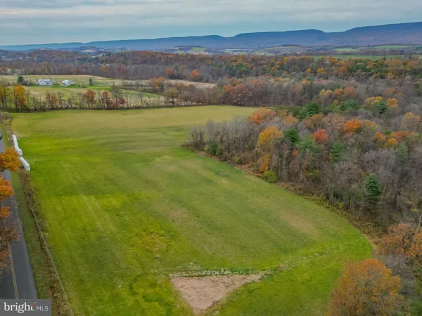 a view of an ocean from a yard