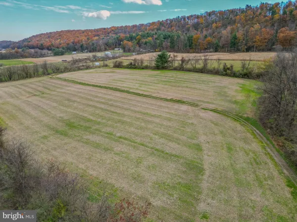 a view of an outdoor space and a yard