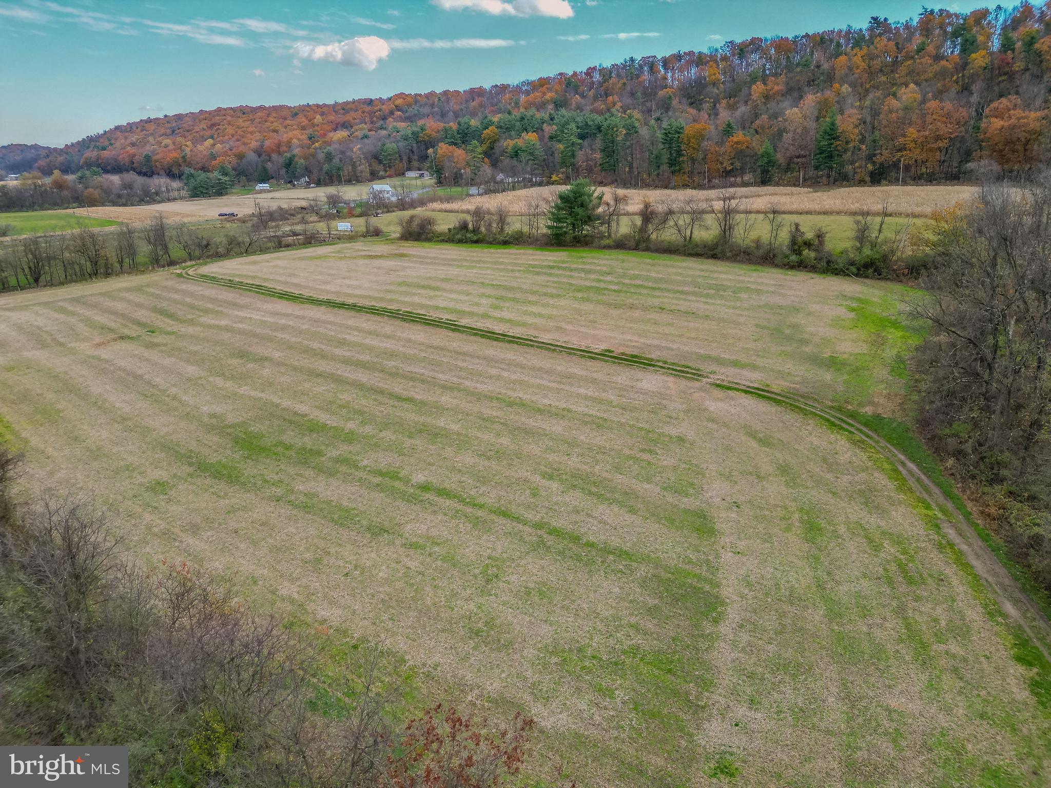 0 Ridge Road Beaver Springs, PA 17812 - Photo 7 of 12 Gallery Image 7