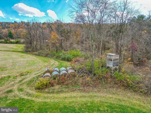a view of a yard with a barn