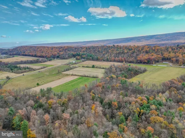 a view of a yard with an outdoor space