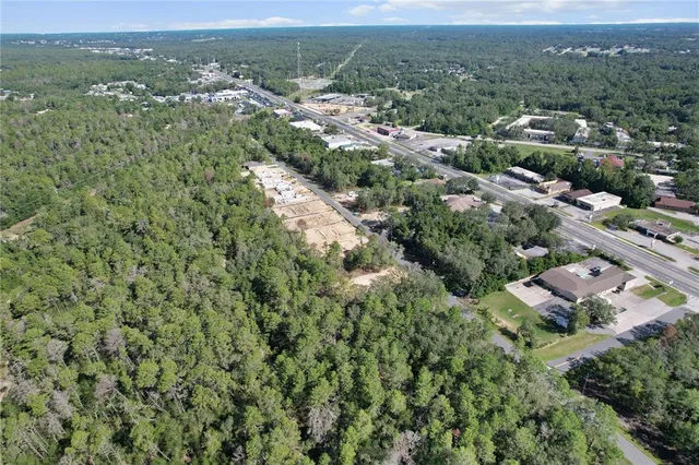 an aerial view of residential houses with outdoor space and trees