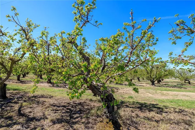 $5,362,470 | 1 Hamilton Road, Westley, CA 95387