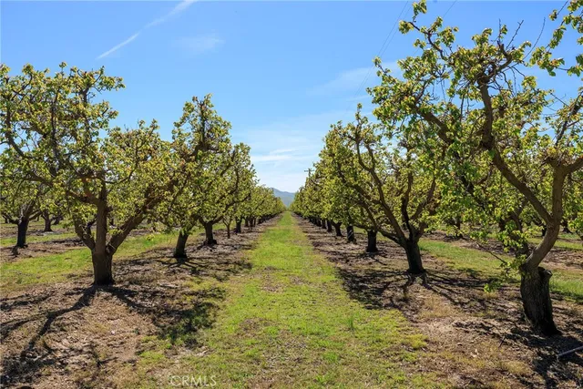 $5,362,470 | 1 Hamilton Road, Westley, CA 95387