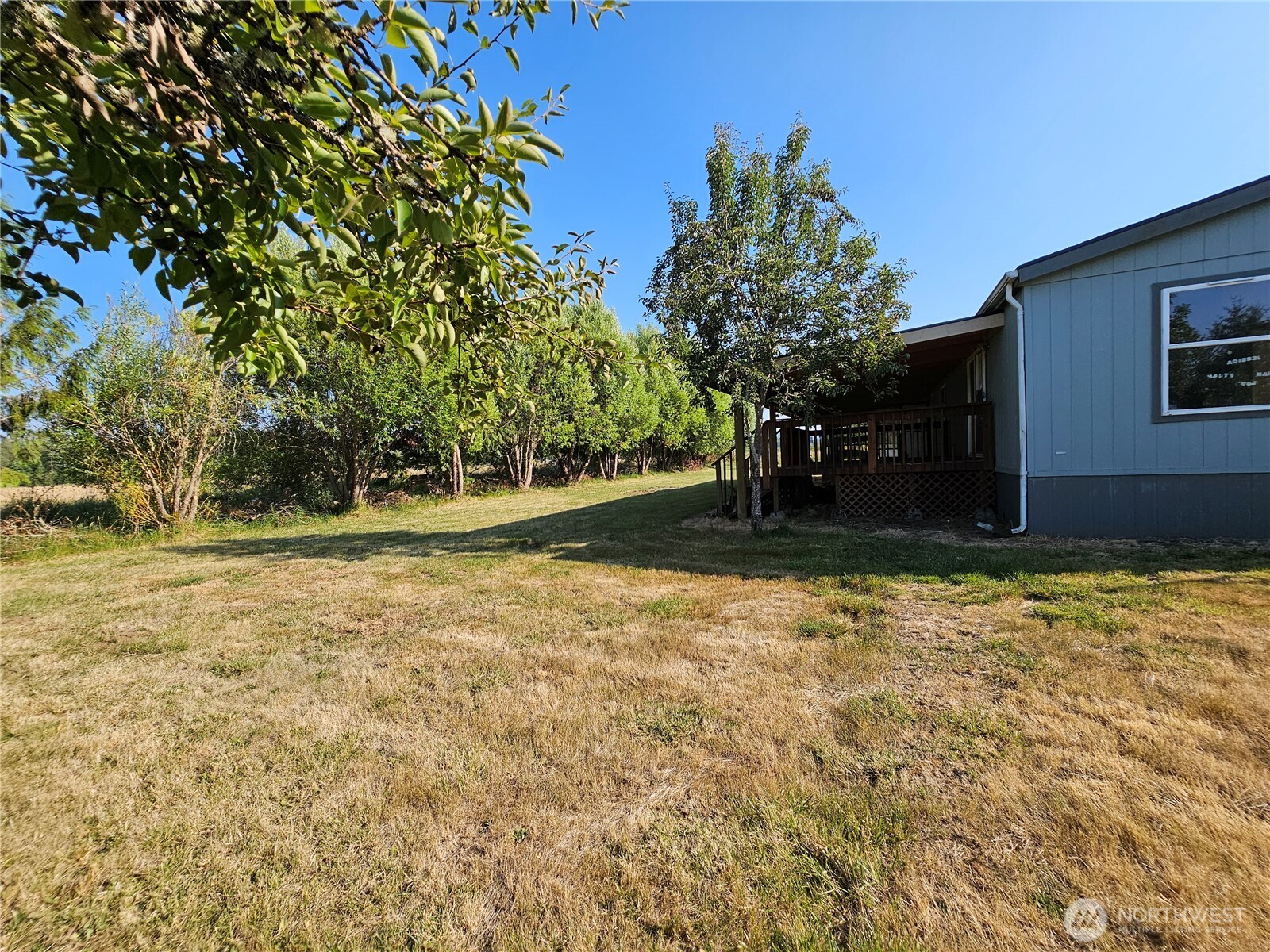 581 Boistfort Road Curtis, WA 98538 - Photo 5 of 24 Gallery Image 5