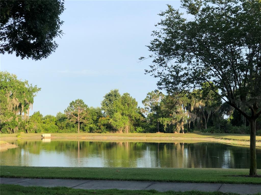 5567 Somersby Road Windermere, FL 34786 - Photo 3 of 40