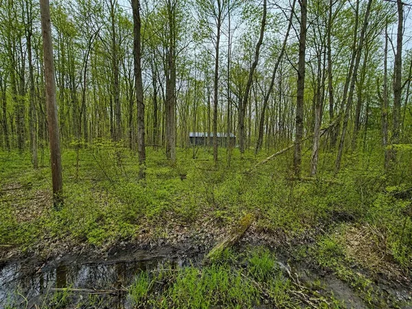 $21,900 | 40000-blk Sycamore Drive, Bangor, MI 49013