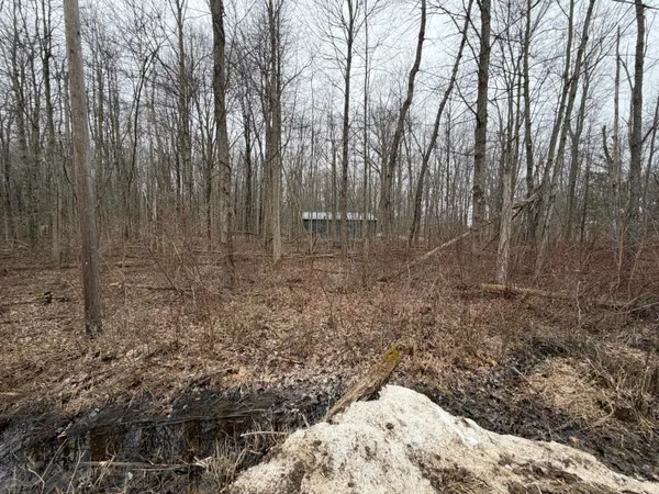 $21,900 | 40000-blk Sycamore Drive, Bangor, MI 49013