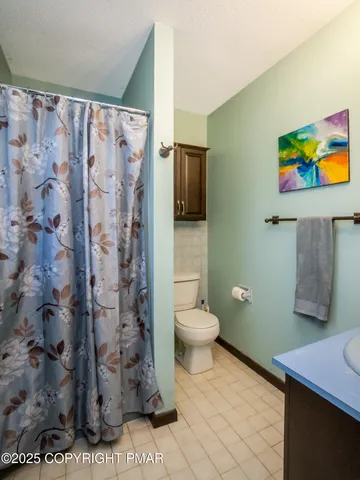 a bathroom with a toilet and a shower curtain
