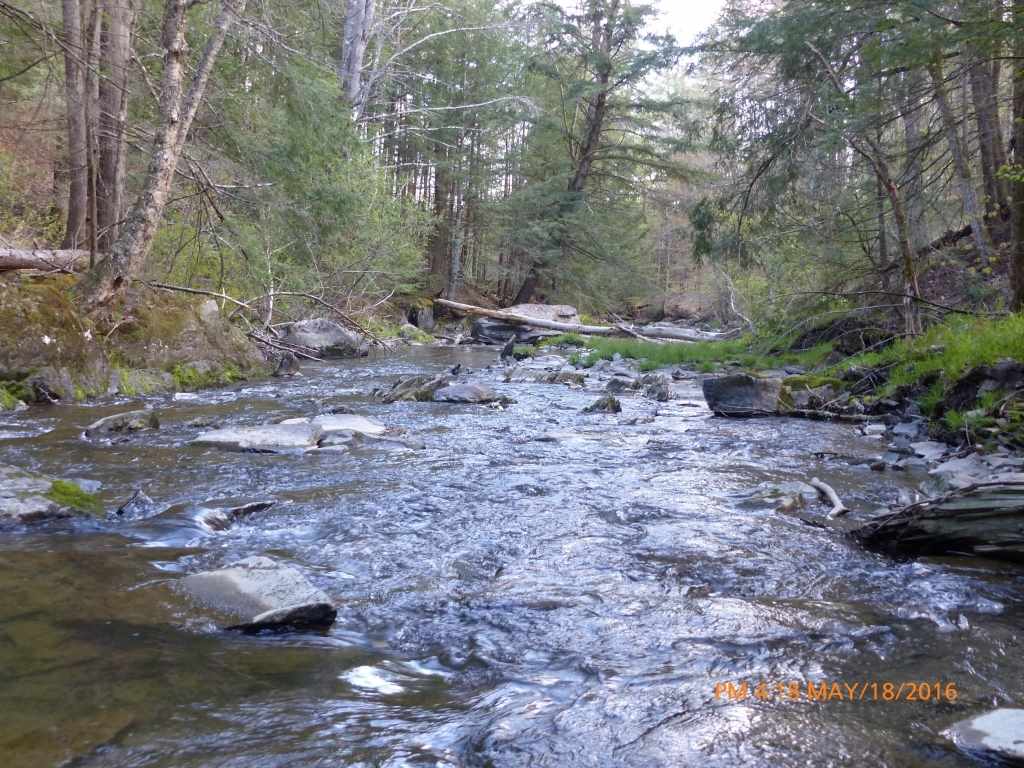 153 Shepardson Hollow Road Fairfax, VT 05444 - Photo 20 of 25 Gallery Image 20