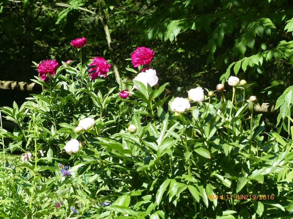 153 Shepardson Hollow Road Fairfax, VT 05444 - Photo 22 of 25 Gallery Image 22