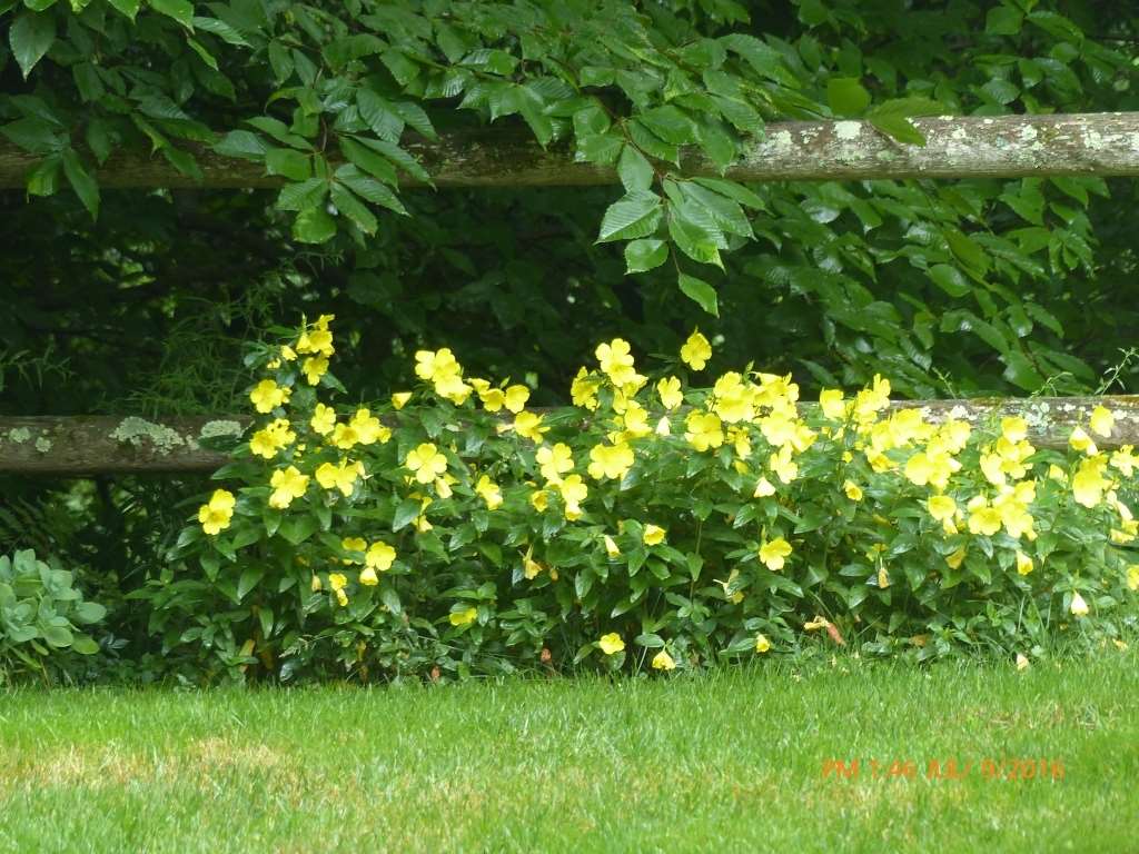 153 Shepardson Hollow Road Fairfax, VT 05444 - Photo 25 of 25 Gallery Image 25