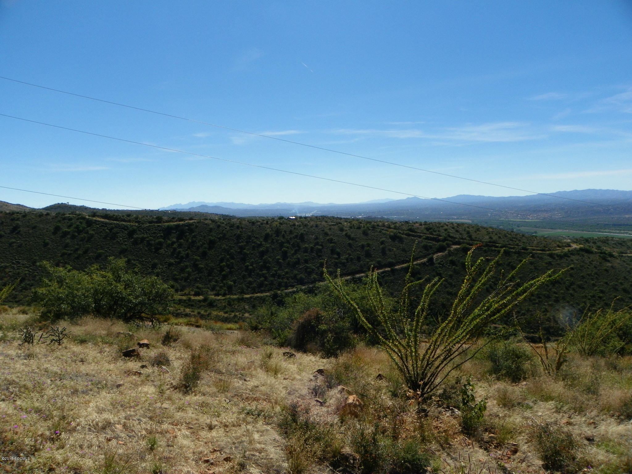 1523 Pirana Court Rio Rico, AZ 85648 - Photo 3 of 13 a view of a yard with a forest
