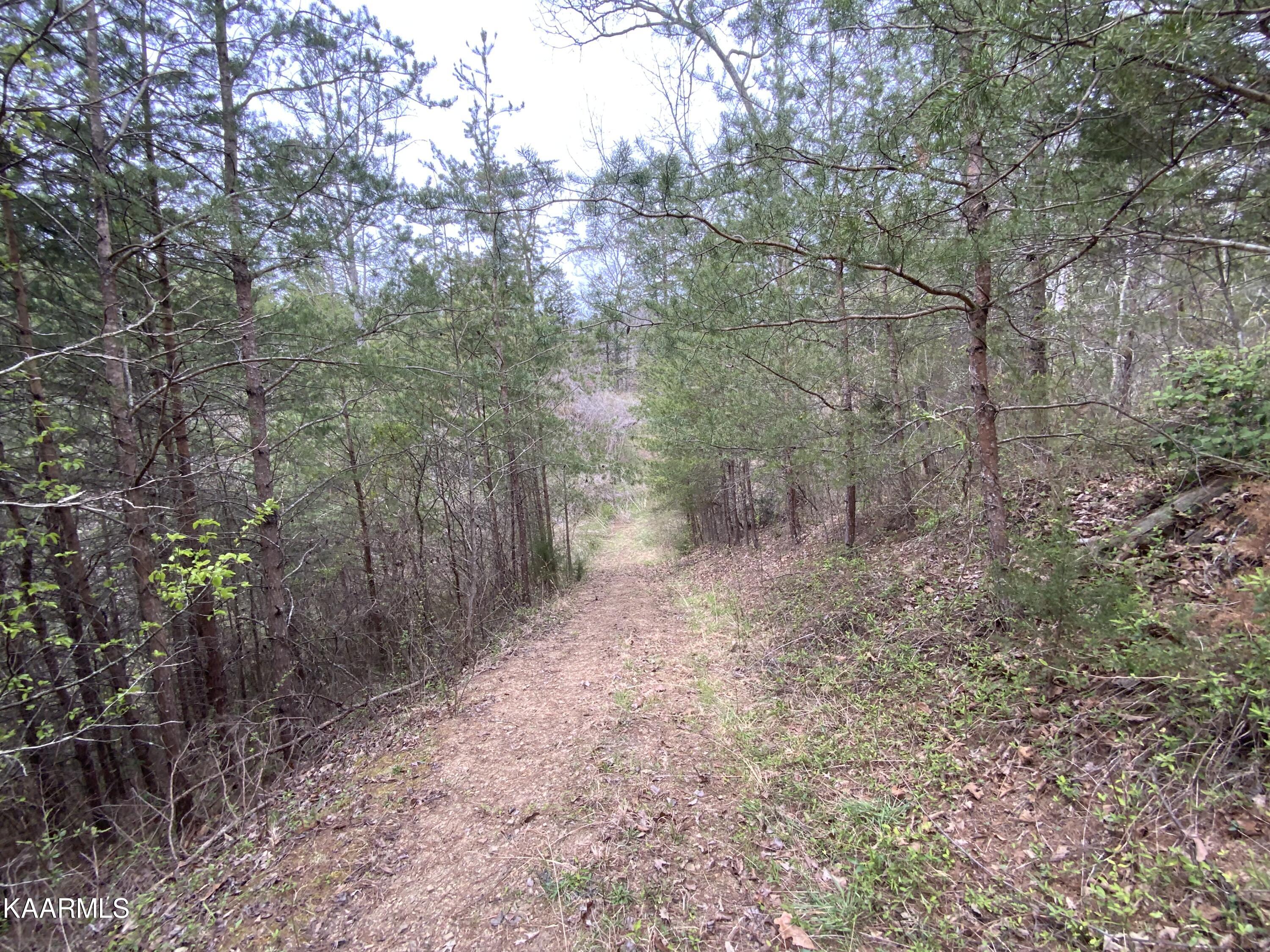 566 Granite Road Clinton, TN 37716 - Photo 37 of 55 1405CDC1-6F8B-408A-9910-D68FF5FA7AEF
