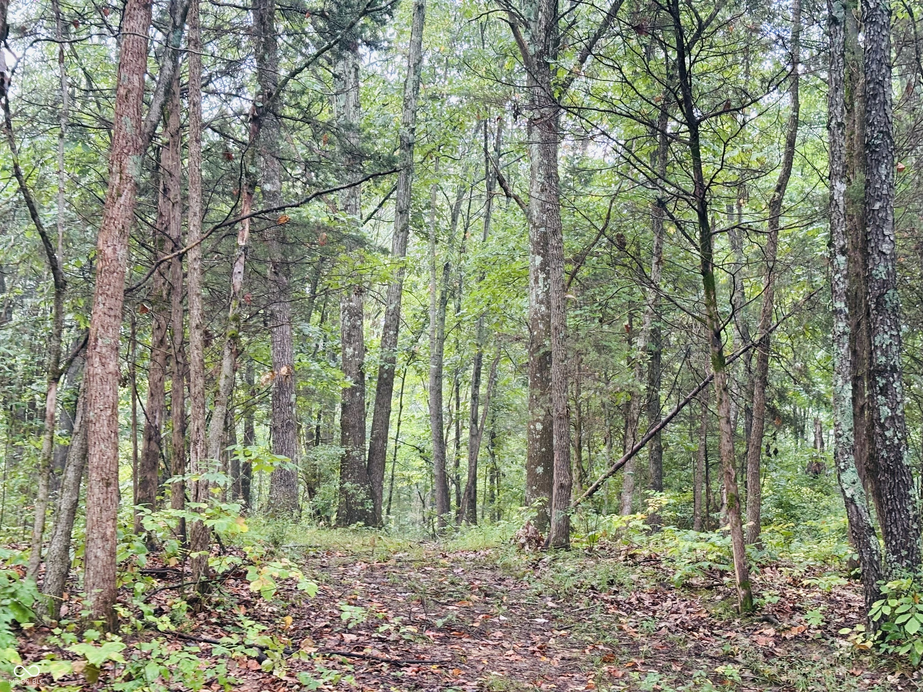 1 Snail Creek Road Brookville, IN 47012 - Photo 9 of 24 Gallery Image 9