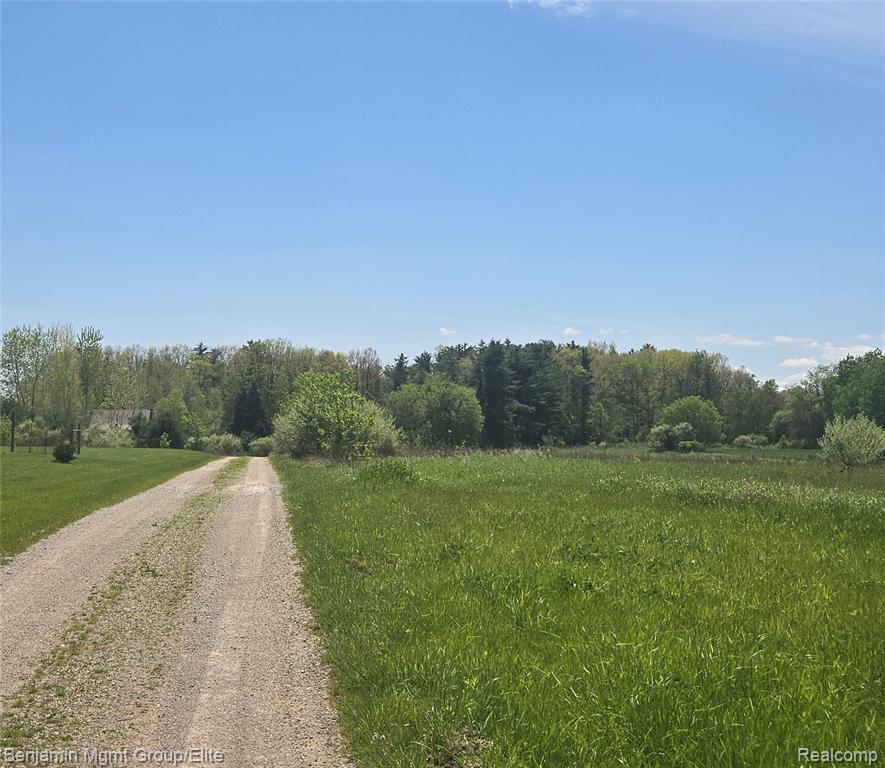 6827 Lapeer Road Smiths Creek, MI 48074 - Photo 14 of 16