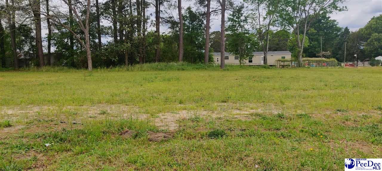 Lot 2 Rio Drive Darlington, SC 29532 - Photo 1 of 1 Gallery Image 1