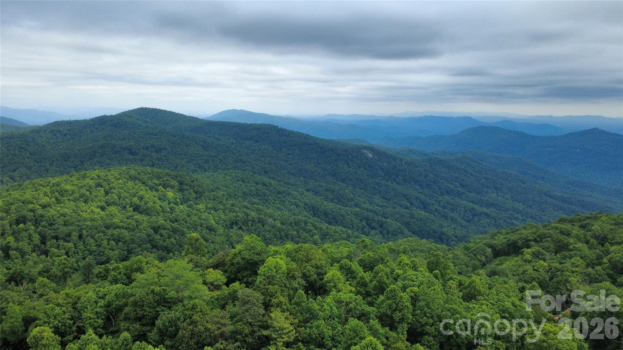 826 Shumont Road Black Mountain, NC 28711 - Photo 29 of 31