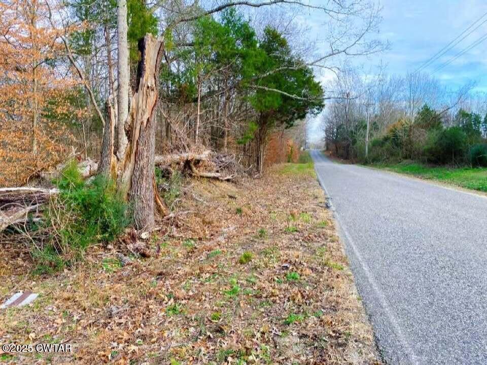 0 Old Lavinia Road Cedar Grove, TN 38321 - Photo 3 of 5 a view of a yard with plants