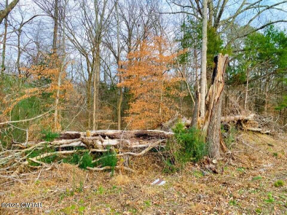 0 Old Lavinia Road Cedar Grove, TN 38321 - Photo 4 of 5 a backyard of a house with table and chairs