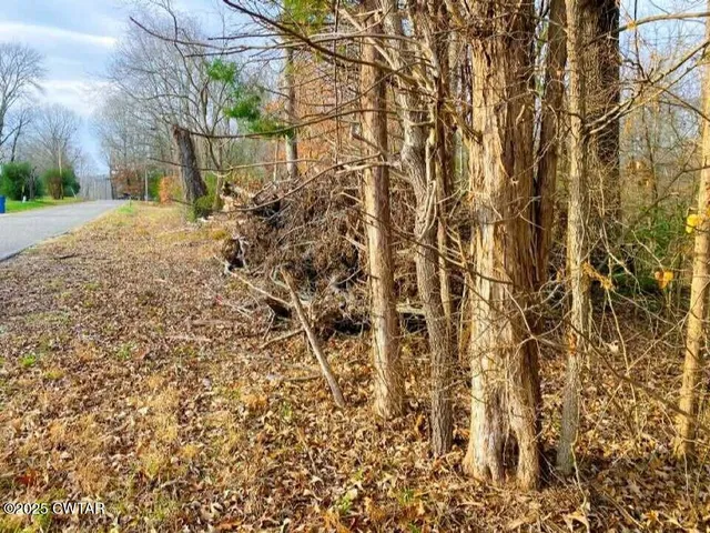 $10,999 | 0 Old Lavinia Road, Cedar Grove, TN 38321