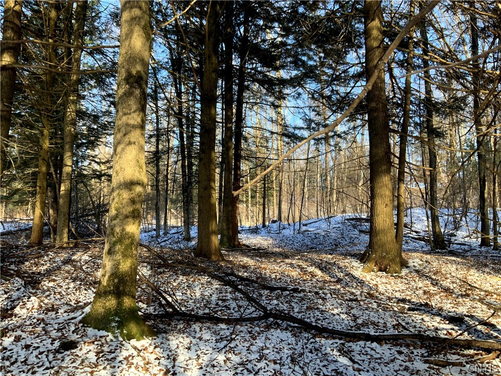 0 Salsbury Road Camden, NY 13316 - Photo 13 of 42 Gallery Image 13