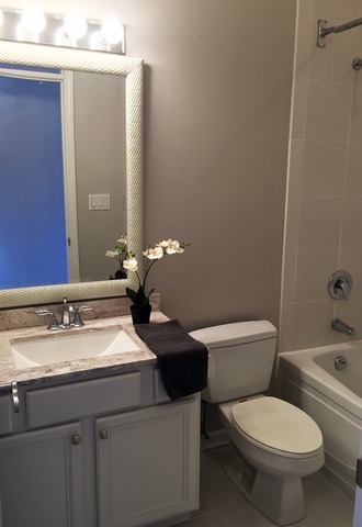 839 West 14th Place Chicago, IL 60608 - Photo 18 of 24