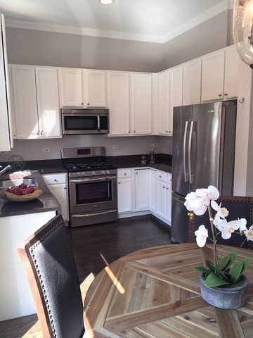 839 West 14th Place Chicago, IL 60608 - Photo 2 of 24