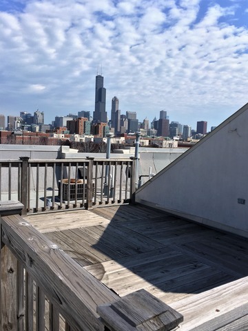 839 West 14th Place Chicago, IL 60608 - Photo 24 of 24