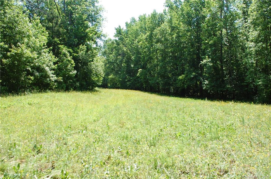 1380 County Line Road Rutherfordton, NC 28139 - Photo 3 of 47
