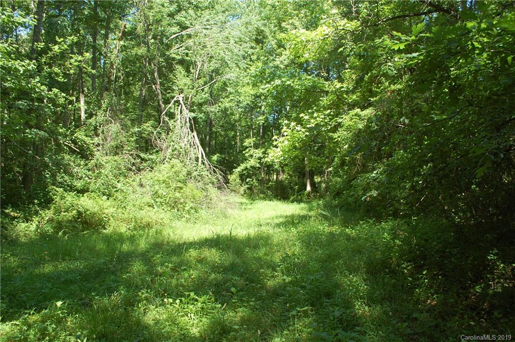1380 County Line Road Rutherfordton, NC 28139 - Photo 26 of 47