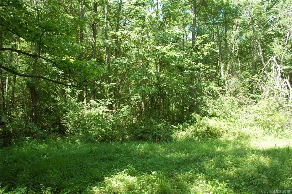 1380 County Line Road Rutherfordton, NC 28139 - Photo 27 of 47