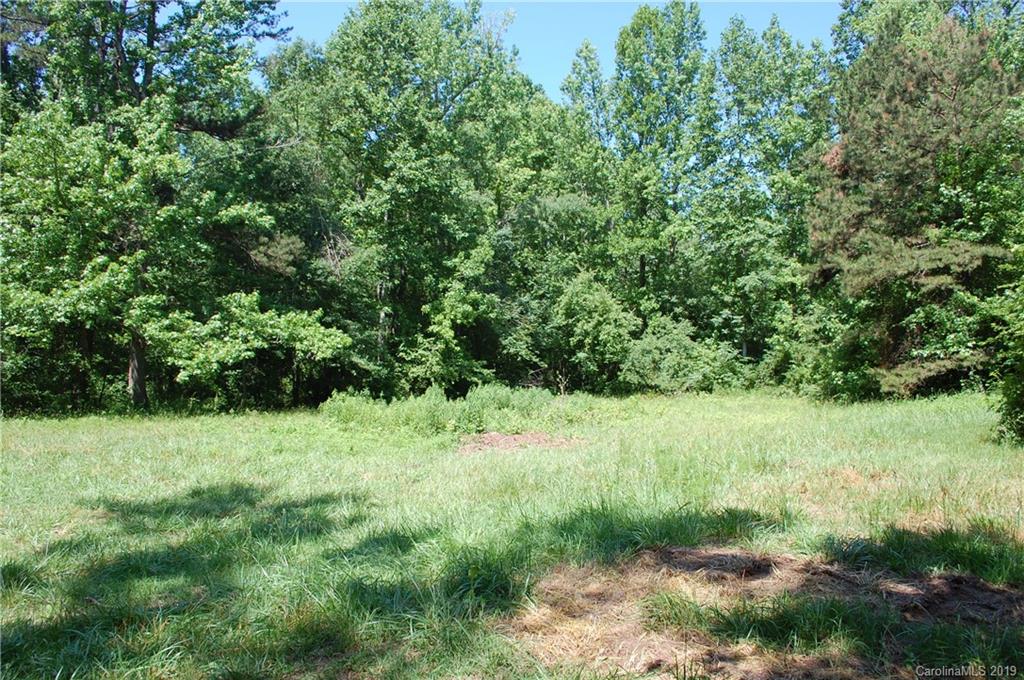 1380 County Line Road Rutherfordton, NC 28139 - Photo 36 of 47