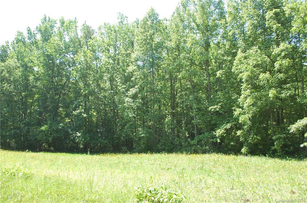 1380 County Line Road Rutherfordton, NC 28139 - Photo 5 of 47