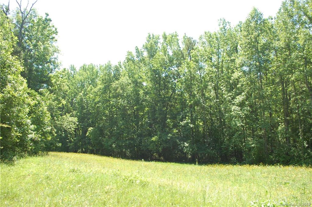 1380 County Line Road Rutherfordton, NC 28139 - Photo 7 of 47