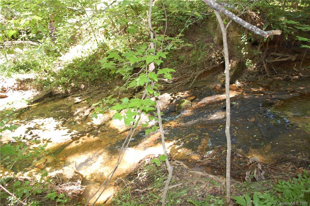 1380 County Line Road Rutherfordton, NC 28139 - Photo 8 of 47