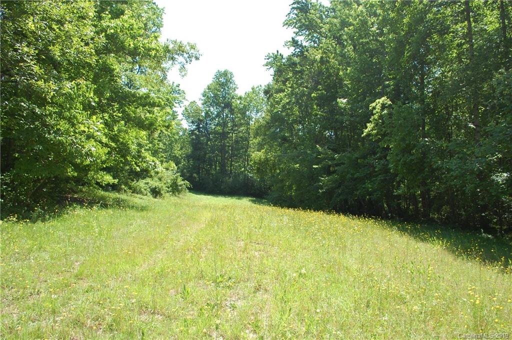 1380 County Line Road Rutherfordton, NC 28139 - Photo 9 of 47